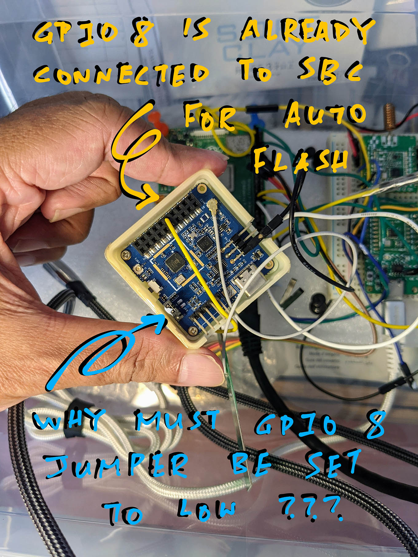 GPIO 8 Jumper must be set to Low (Non-Flashing Mode)